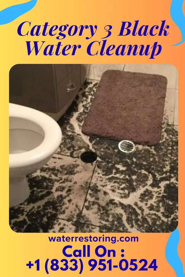 Category 3 Black Water Cleanup in Napoleon, OH
