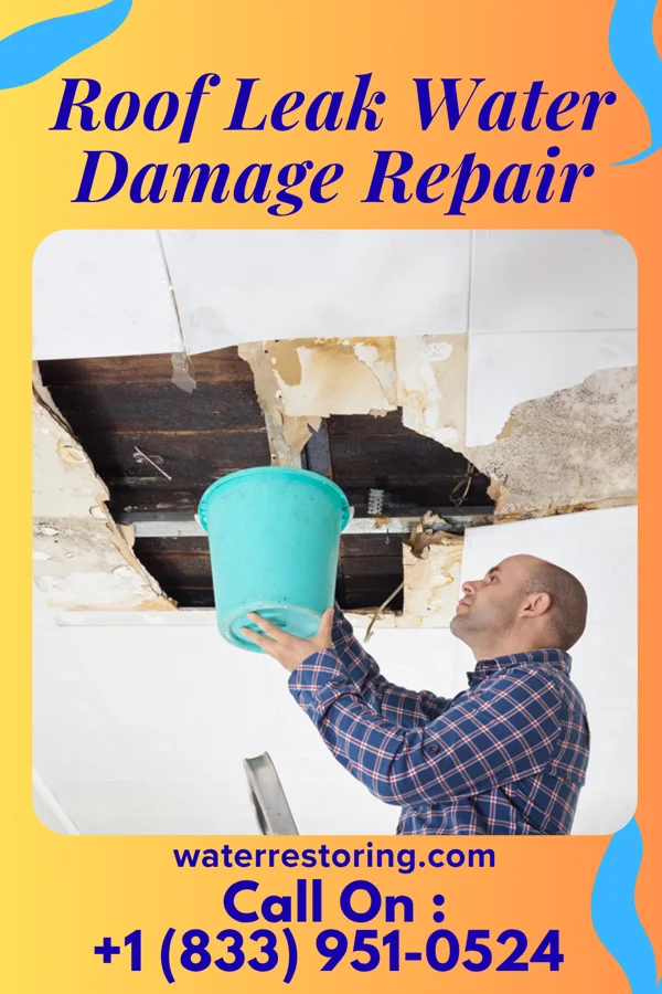 Roof Leak Water Damage Repair in Napoleon, OH