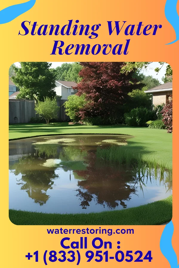 Standing Water Removal in Napoleon, OH